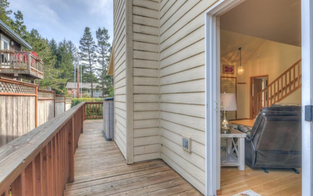 Avas Sunny Delight (MCA 682)