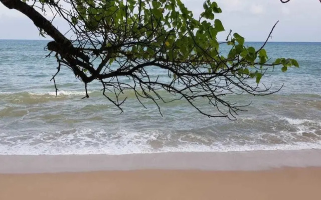 Blue Whale Beach Hotel