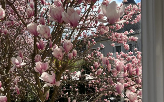 Boutique Gästehaus Guestel