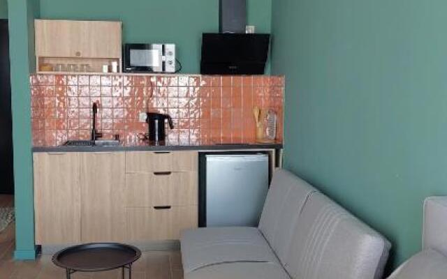 Gudauri Roshka Apt #412