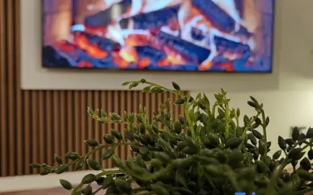 Kashkana Haven - Blackburn