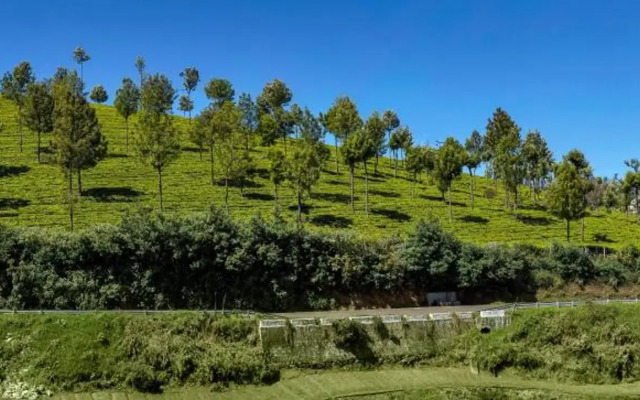 Club Mahindra Danish Villa Ooty