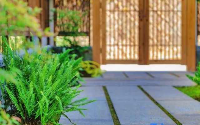 Wuyishan Qipaoshan Homestay (Sangu Resort)