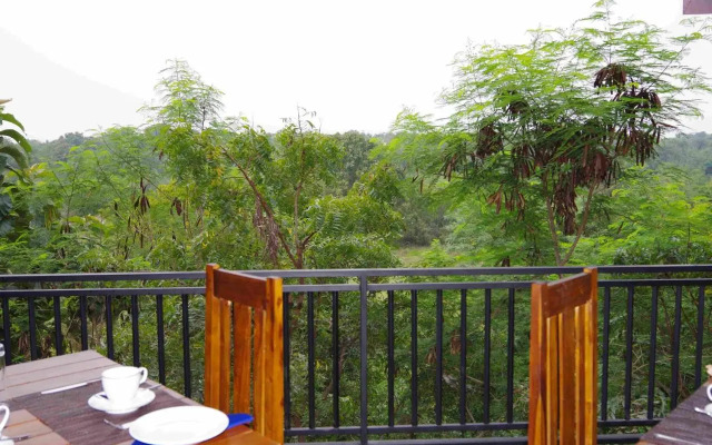 Jungle Paradise