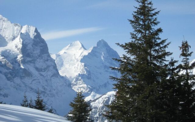 Pension Chalet Berkana