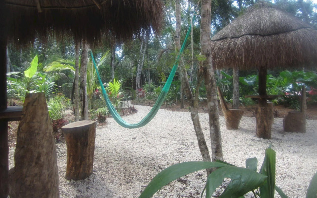 Casa Mango