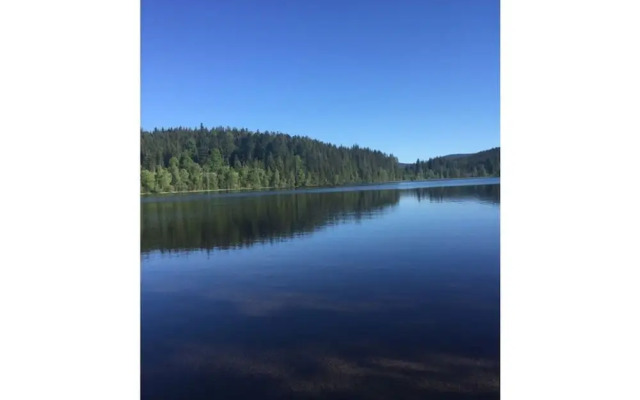 Appealing Apartment in Lenzkirch