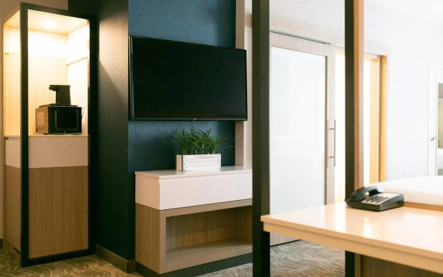 SpringHill Suites by Marriott South Bend Notre Dame Area