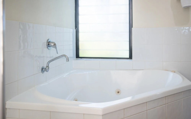 Oasis 26