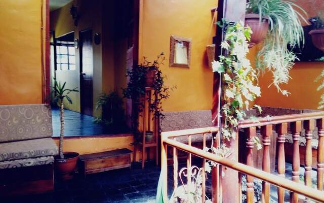 Little Home
