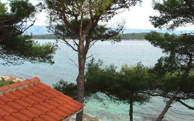 House Ivo