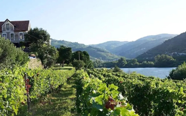 Quinta de S. Bernardo Winery & Farmhouse