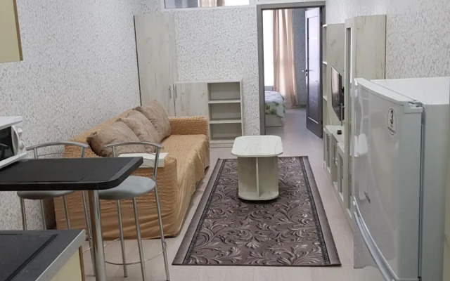 Студия возле Французского бульвара