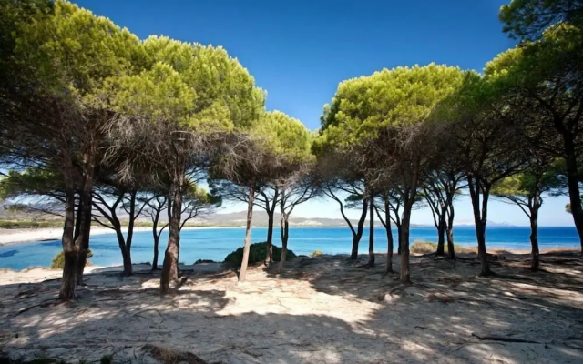 Appartamento Dei Pini