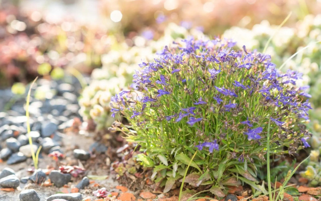 Viana Fishers House - Apartamentos em Frente ao Mar