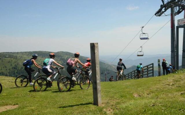 Hotel Djina - Kopaonik