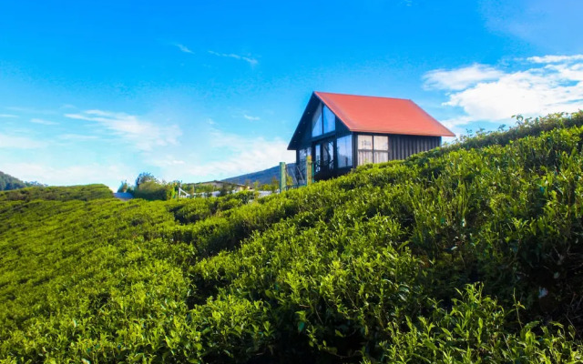 The Blackberry Cottage
