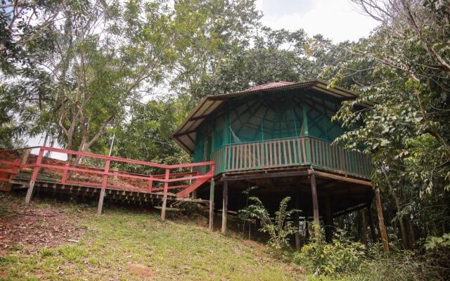 Amazonia Jungle Hotel