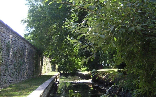 L'Orée des Vignes