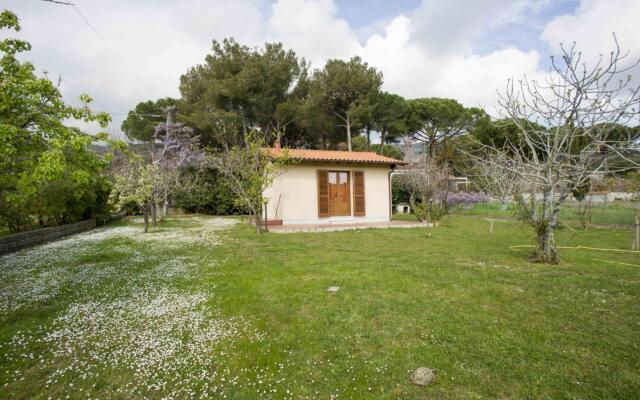 Le Tartarughe Three-room apartment-TRILOCALE LE TARTARUGHE