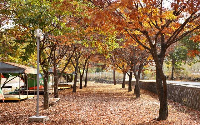 Gapyung amor pension gaegok suyoungjang