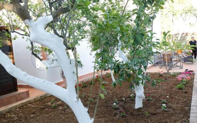 Airport sicily home palermo
