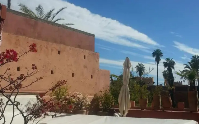 Riad Ica