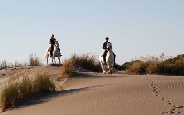 Camping Abri de Camargue