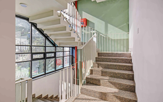 Treebo Trend Aroma Executive