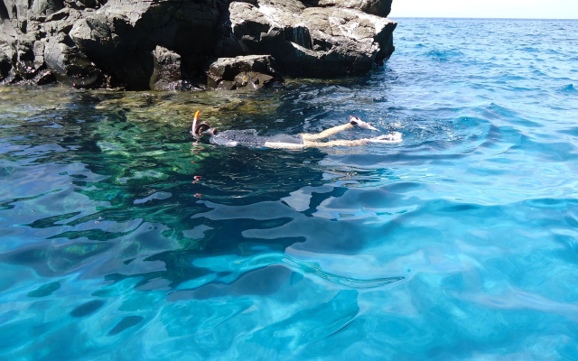 Guest House Darumaya - Hostel