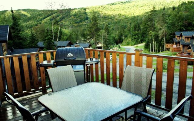 Chalets Alpins -09 Chemin Alpin