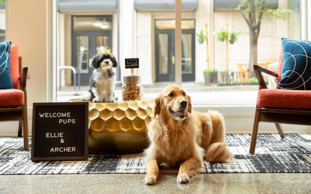 Hotel Indigo Winston-Salem Downtown by IHG