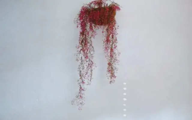 Xingyi Mountain Breeze Inn