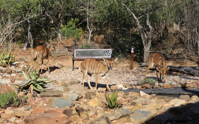 Bona Intaba Game Lodge