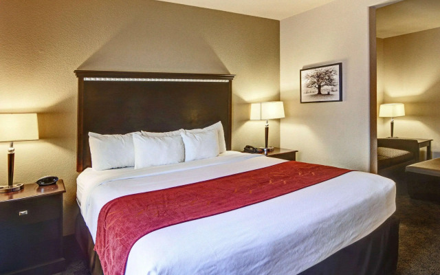 Comfort Suites Arlington - Entertainment District