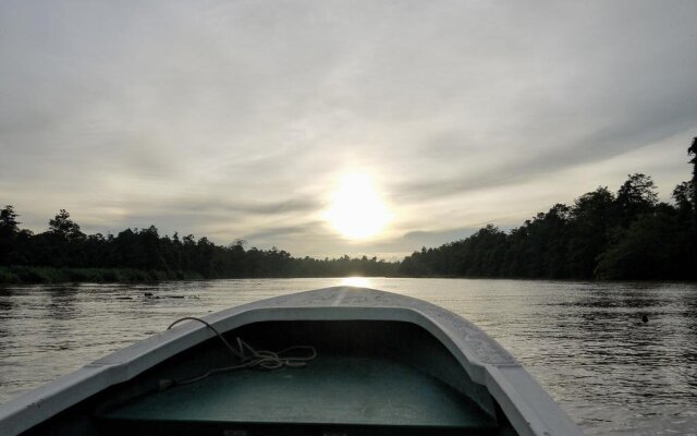 Bilit Rainforest Lodge