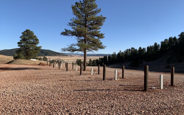 Bearlodge Mountain Resort