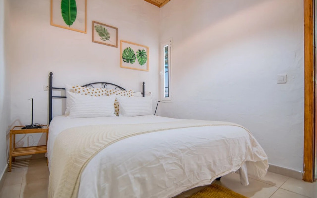 Holanda Tropic Yumbo