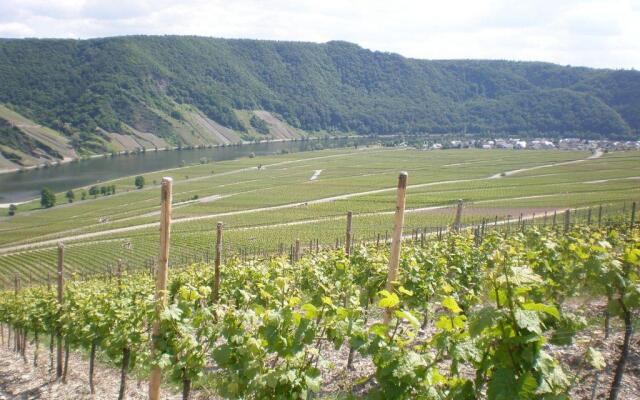 Holiday Home Weingut Mertes