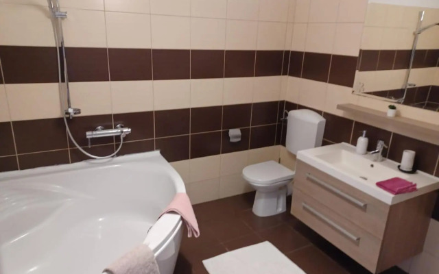 Big apartment with garden