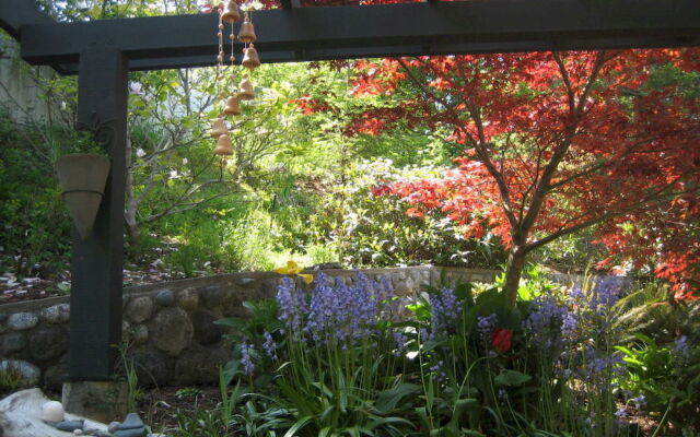 The Lodge at Weir's Beach