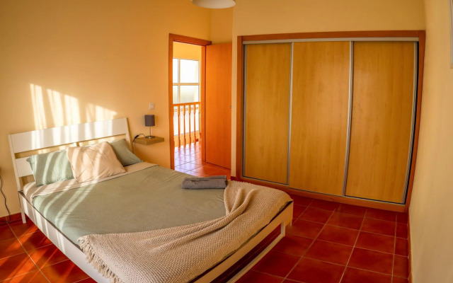 O DRAGOEIRO da Madalena!