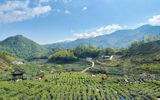 Zhuxi Tea Garden · Homestay – Outside – Anqing
