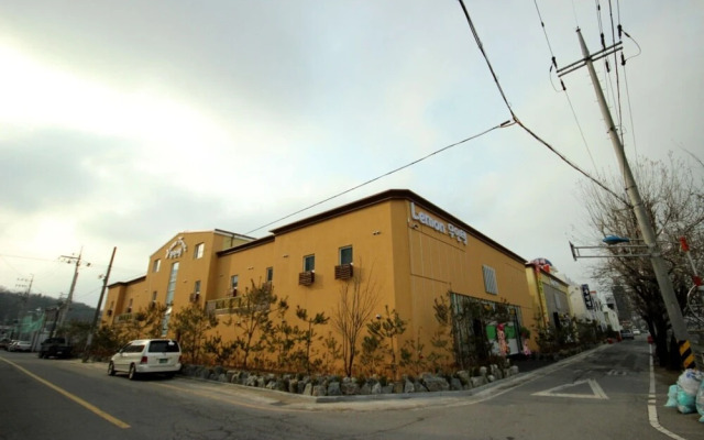 Gunsan Lemon Tree