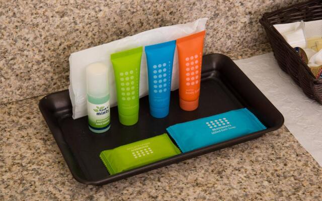 Yosemite Gold Country Lodge