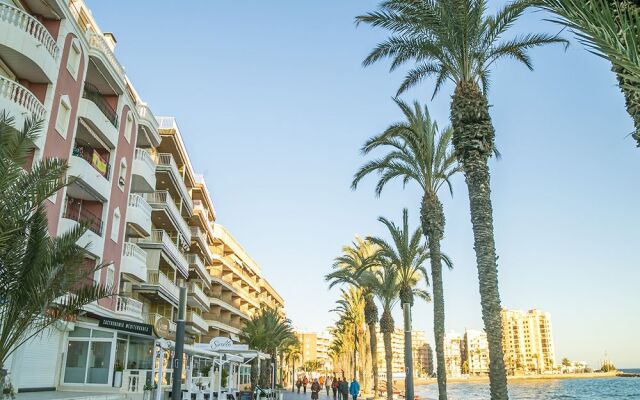 Homely Apartments Calle Apolo