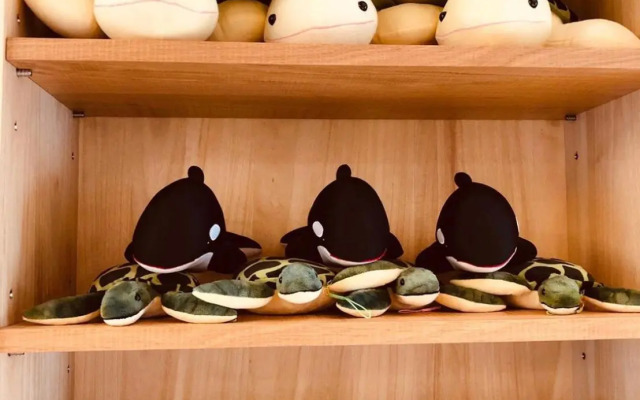 Whale Yan Homestay
