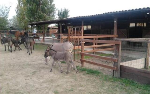 Agriturismo 'Casa Carpanelli'