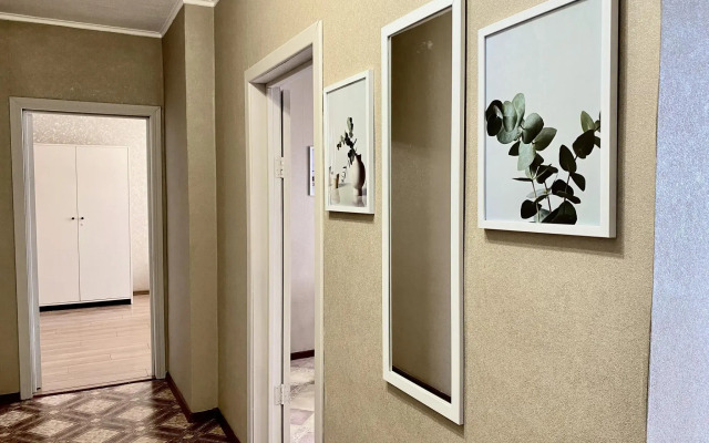 Декабрист на Красноармейской