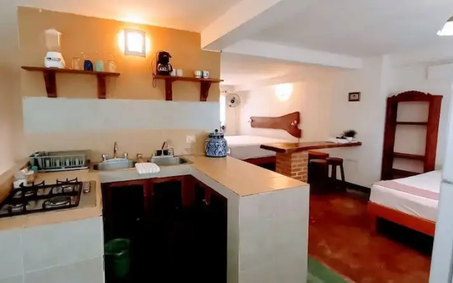 Pata de Perro Bacalar